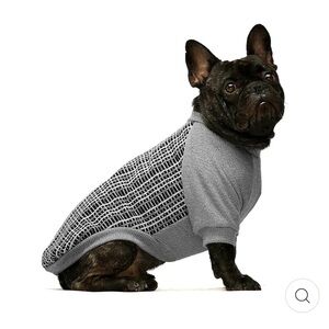 Gray Dog Clothing with Cozy Knitted Design